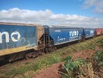 RUMO HTT-351059-0